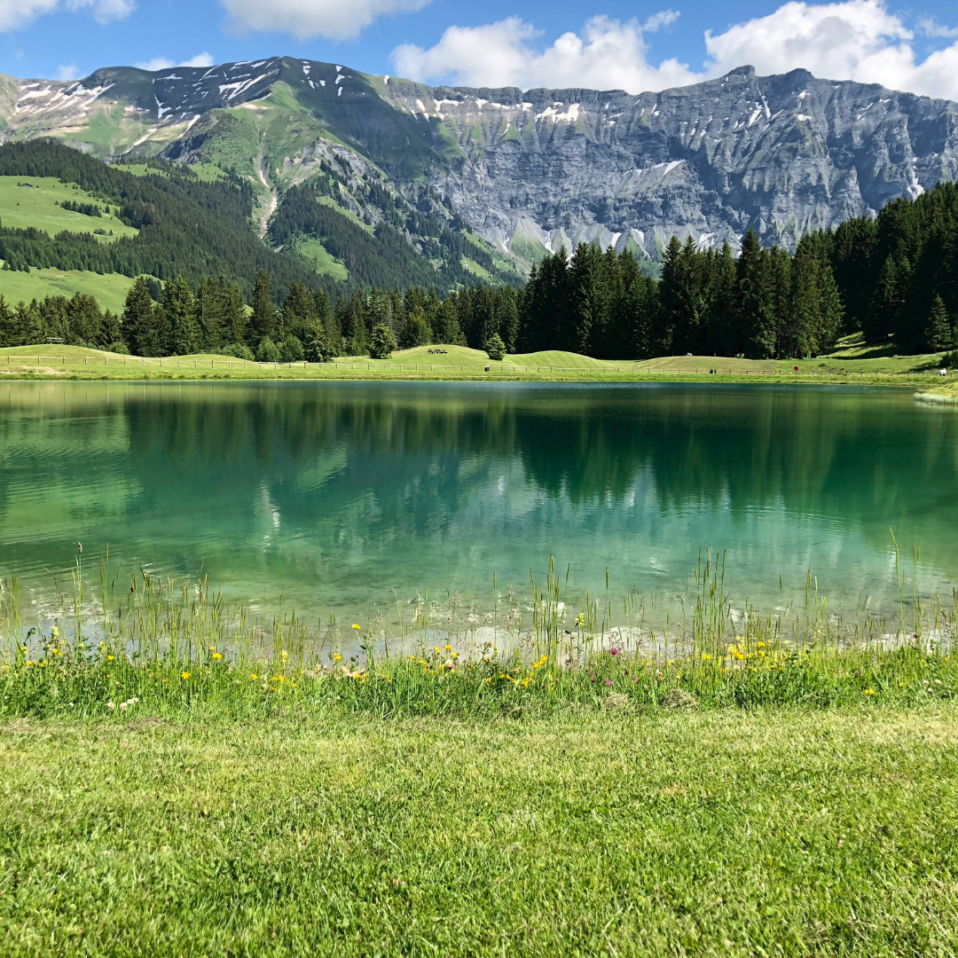 French lake at the bottom of Mont Blanc.